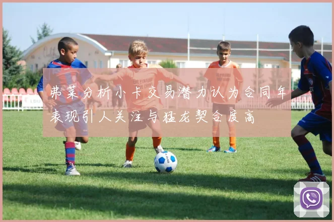 弗莱分析小卡交易潜力认为合同年表现引人关注与猛龙契合度高