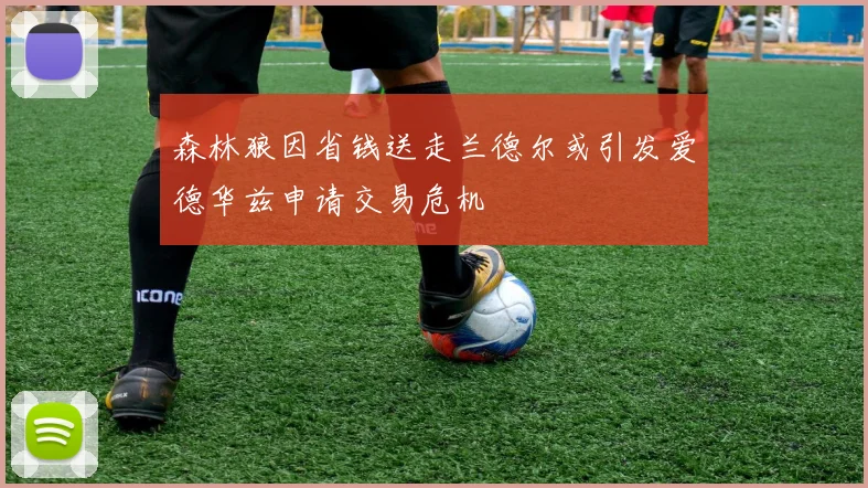 森林狼因省钱送走兰德尔或引发爱德华兹申请交易危机