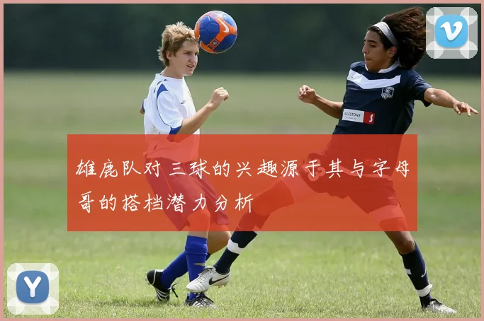 雄鹿队对三球的兴趣源于其与字母哥的搭档潜力分析